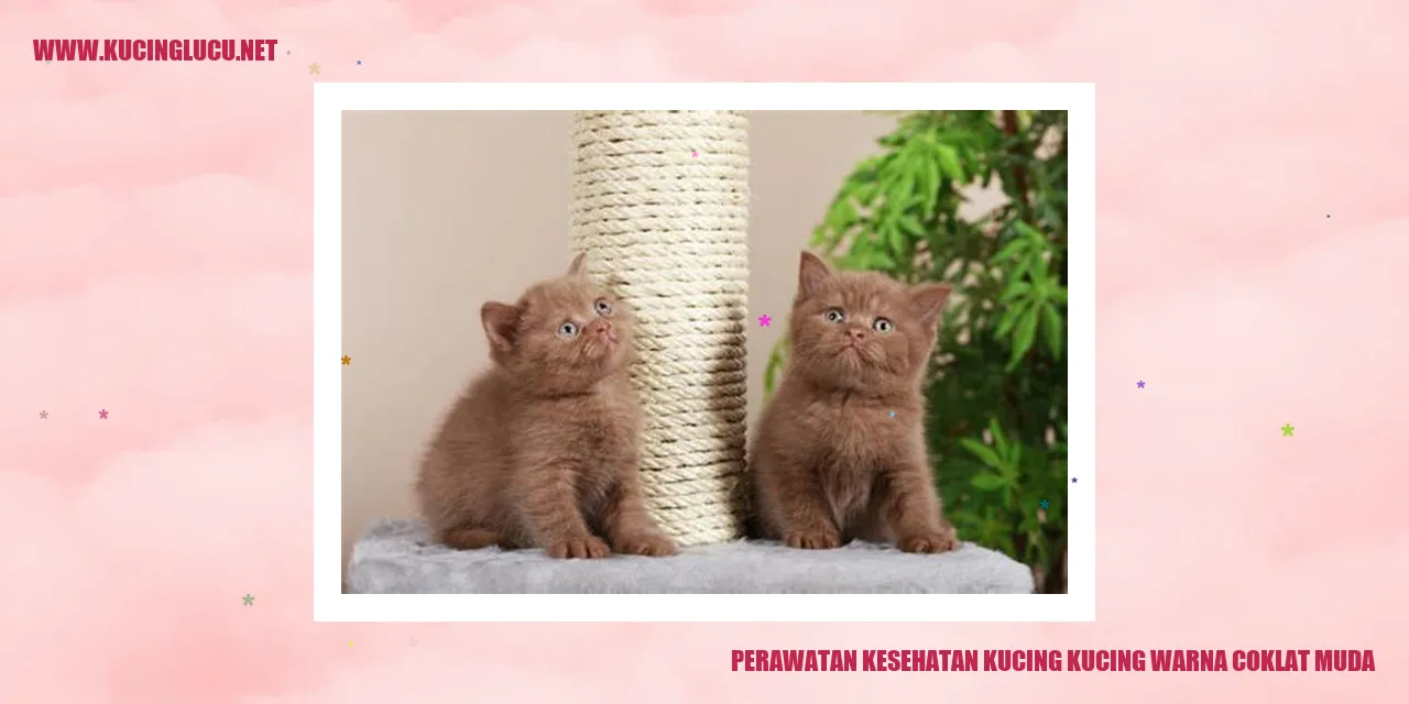 Perawatan Kesehatan Kucing Warna Coklat Muda