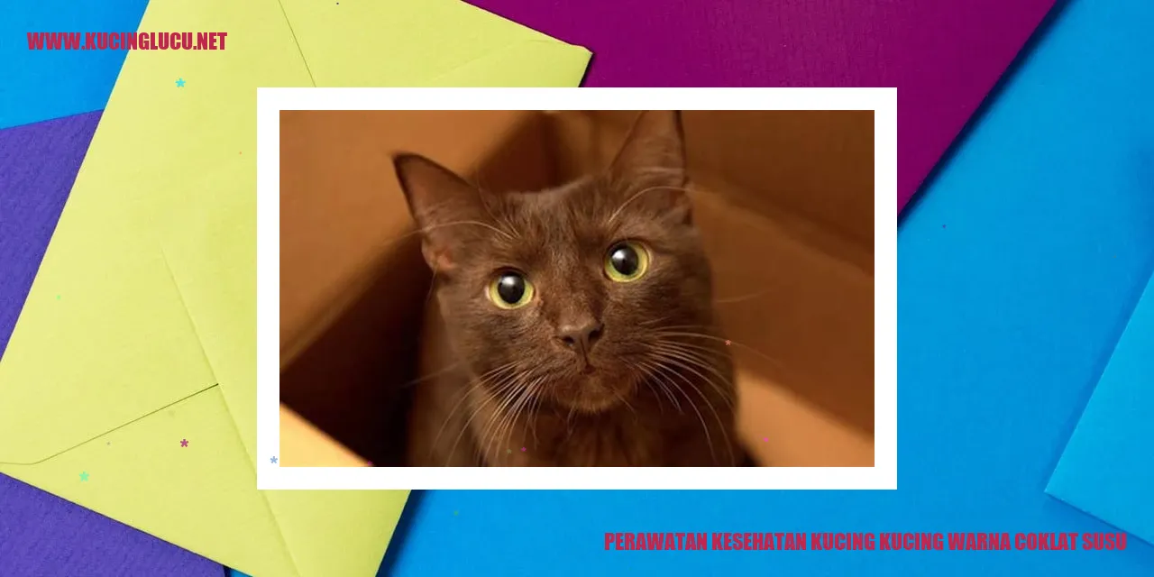 Perawatan Kesehatan Kucing Warna Coklat Susu