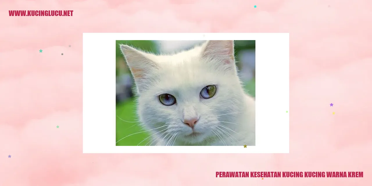 Perawatan Kesehatan Kucing Warna Krem