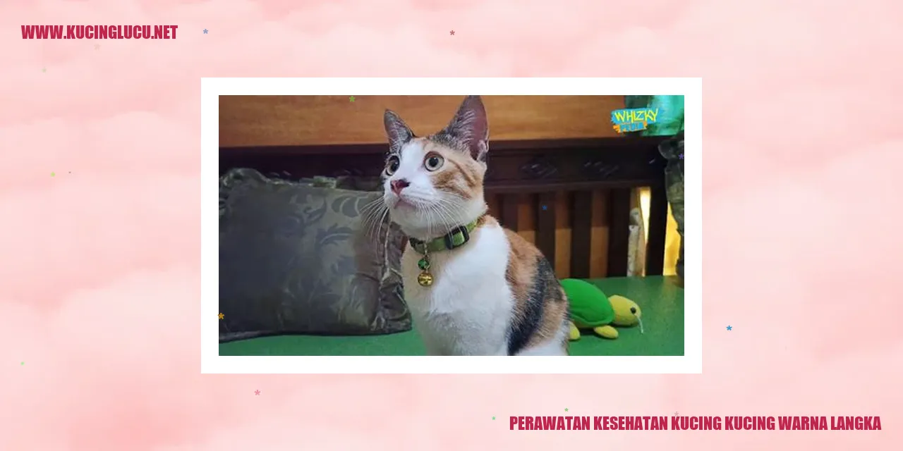 Perawatan Kesehatan Kucing dengan Warna Langka