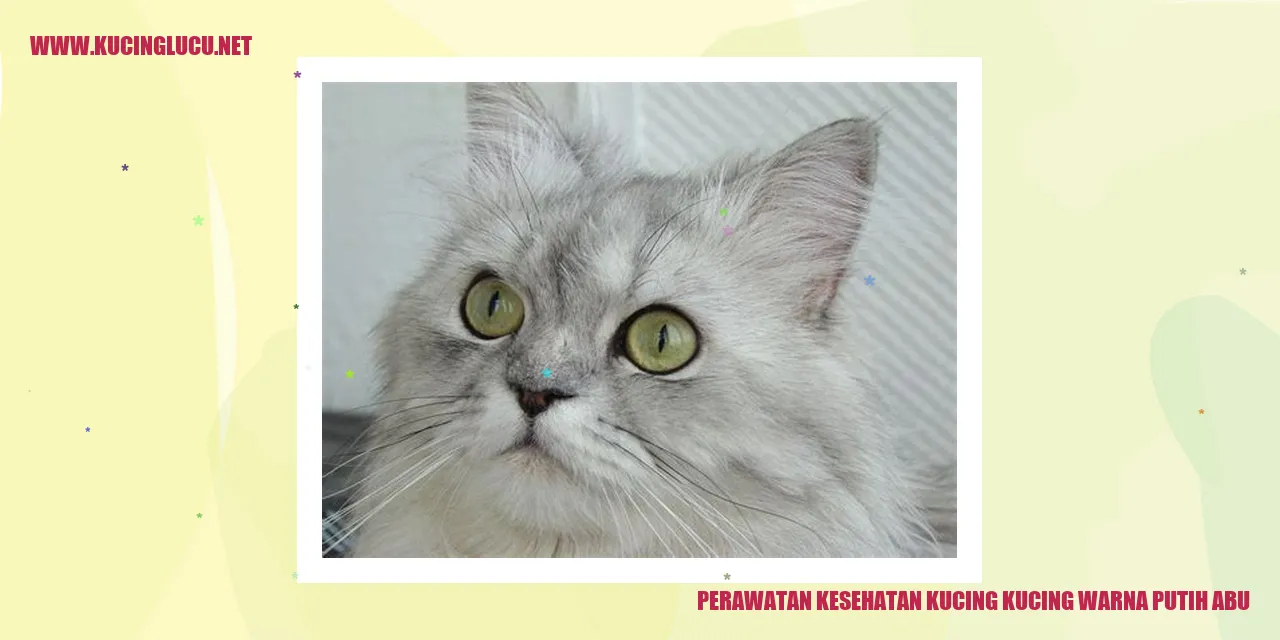 Perawatan Kesehatan Kucing Warna Putih Abu