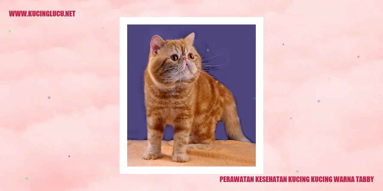 Kucing Warna Tabby