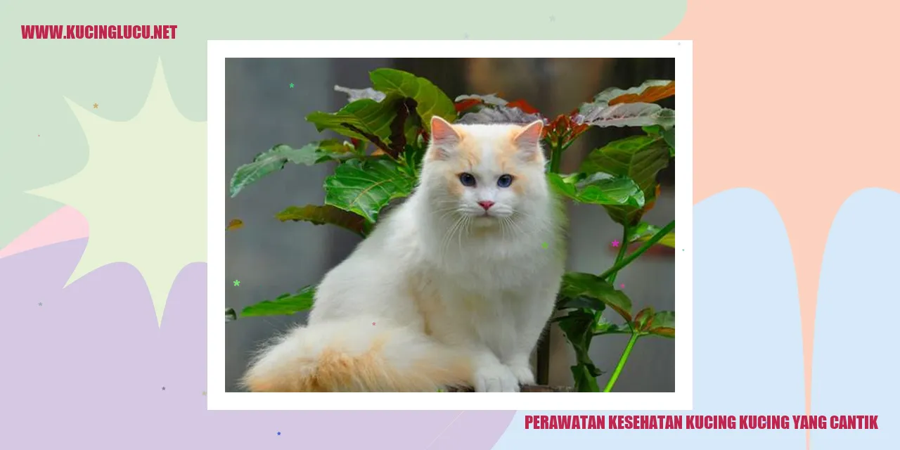 Kucing Cantik