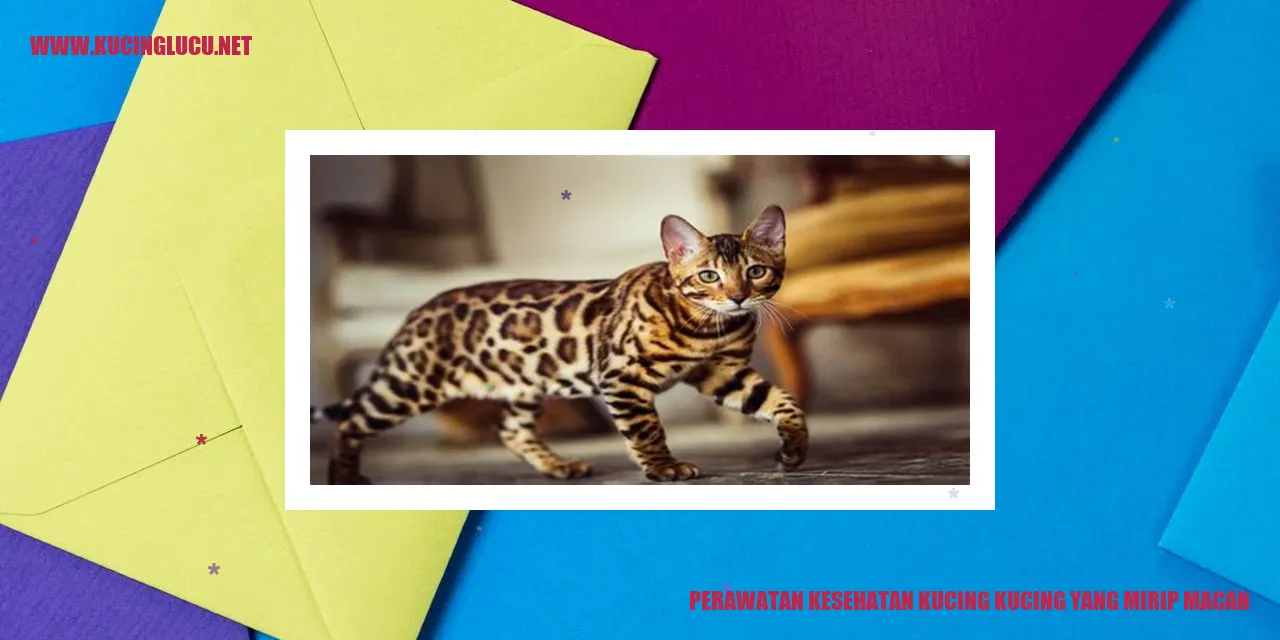 Perawatan Kesehatan Kucing yang Mirip Macan