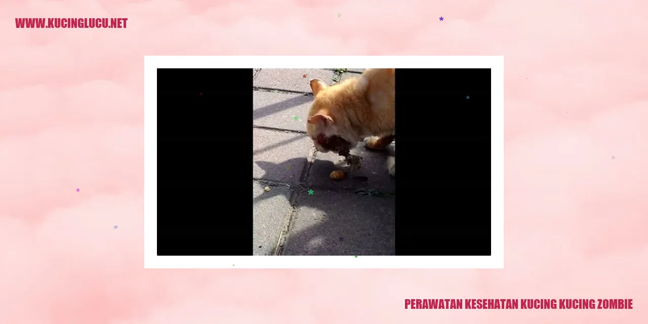 Gambar Kucing Zombie
