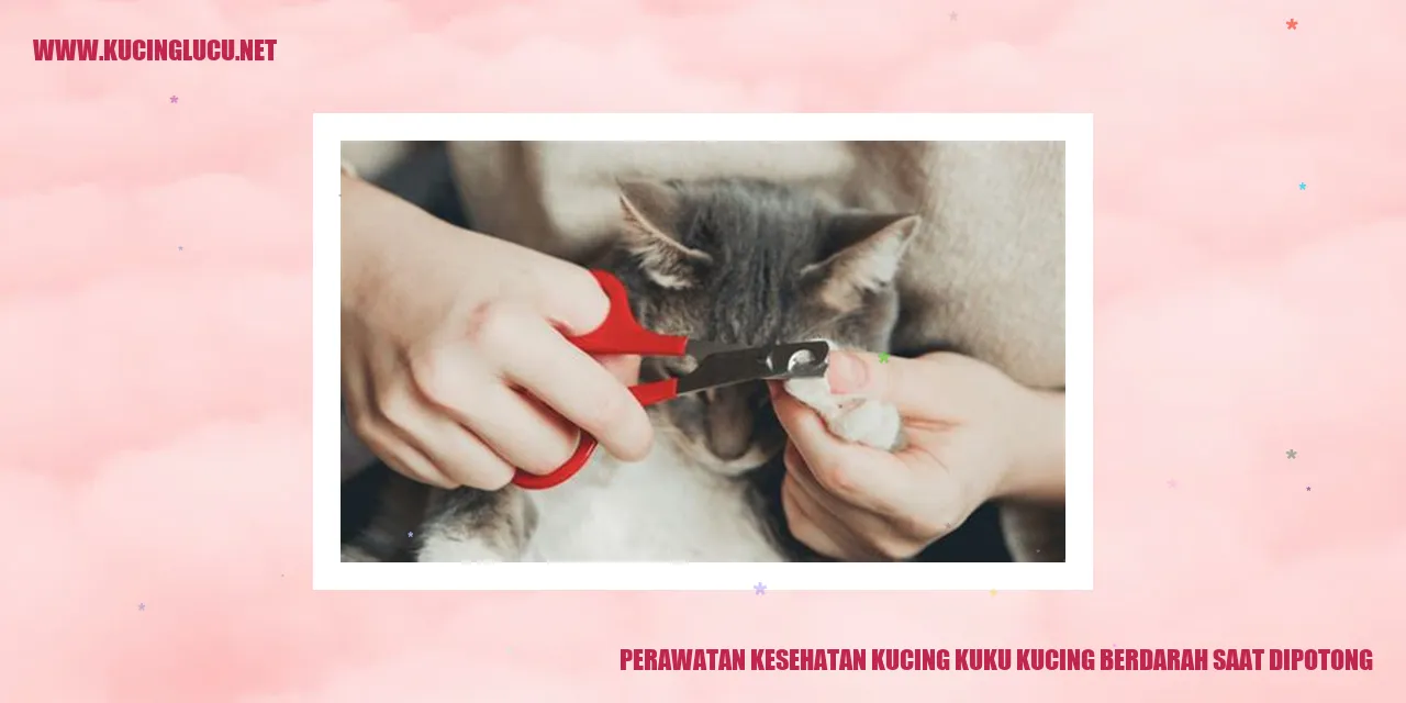 gambar kucing