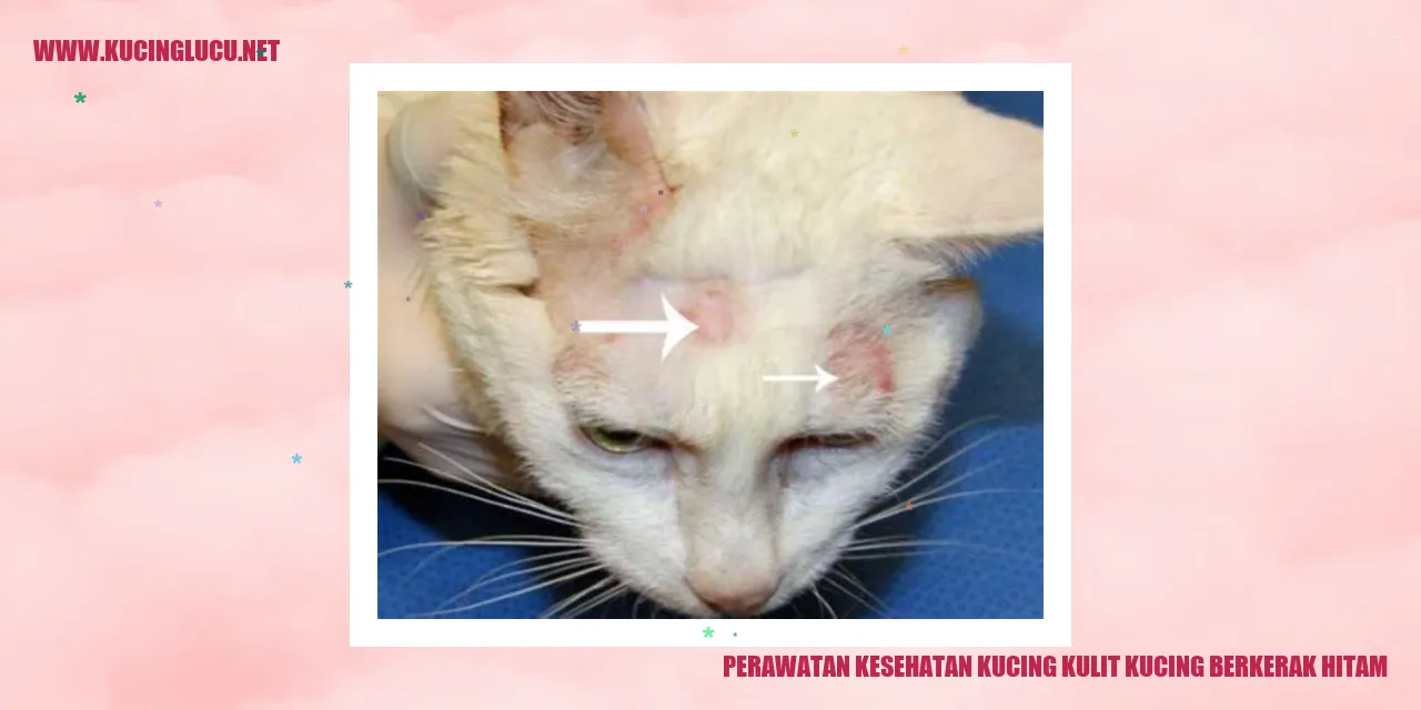 Kucing dengan kulit berkerak hitam
