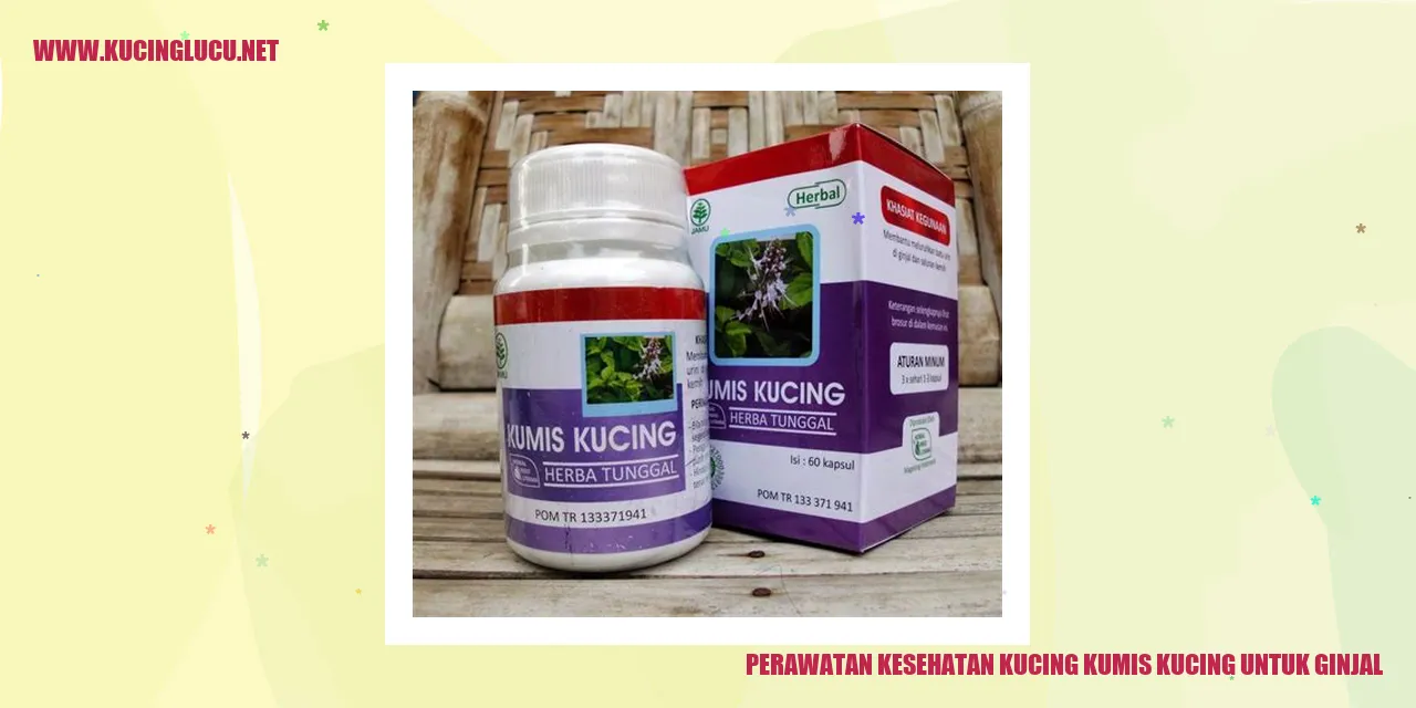 Kucing Kumis Kucing untuk Ginjal