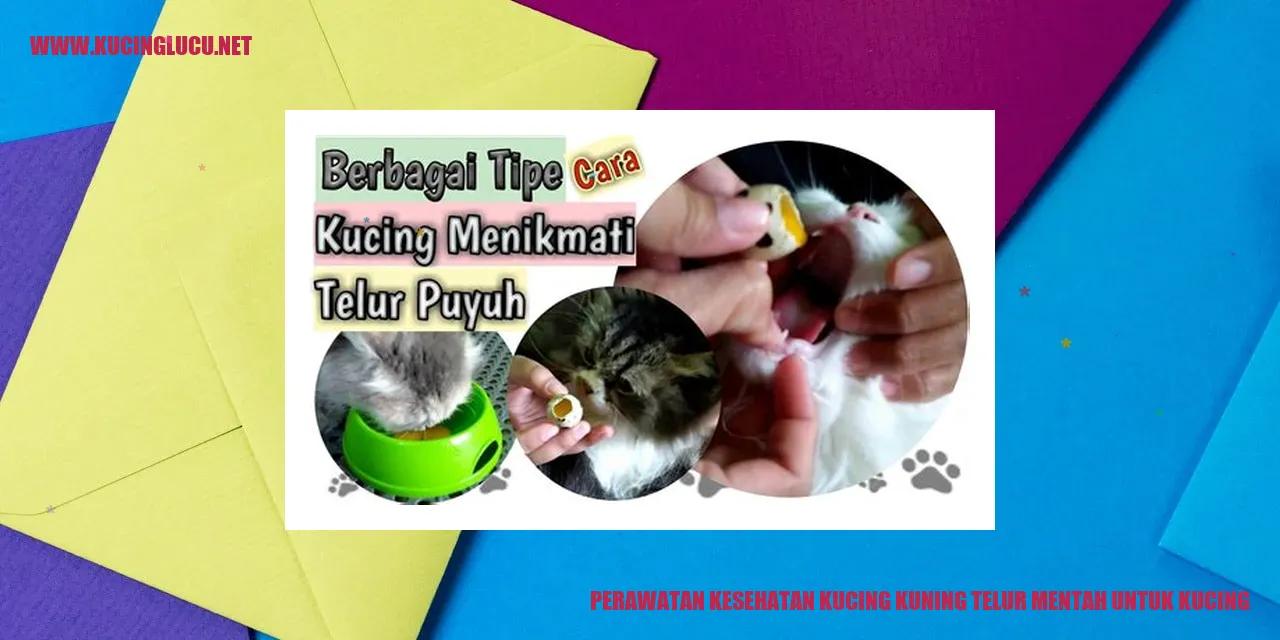 Perawatan Kucing dengan Kuning Telur Mentah