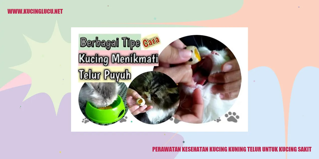 Gambar Kucing yang Menikmati Telur Kuning