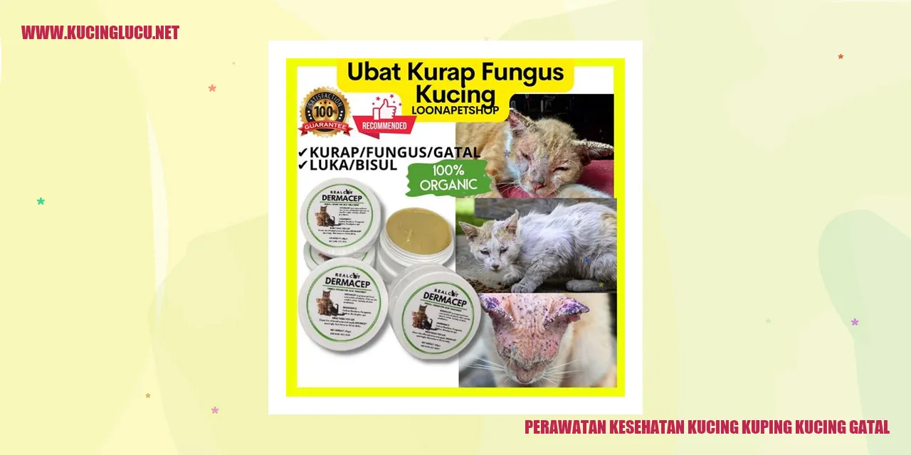 Mengatasi Rasa Gatal di Telinga