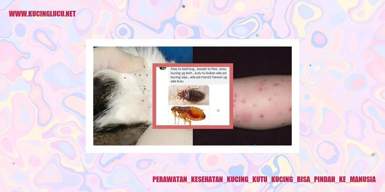 Gambar Kucing yang Menggemaskan