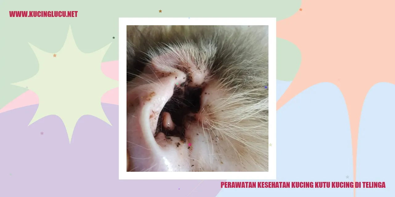 Gambar kucing mengalami kutu di telinga