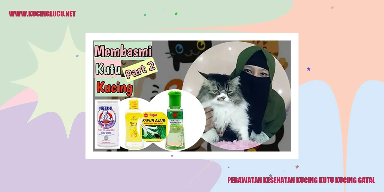 Perawatan Kesehatan Kucing