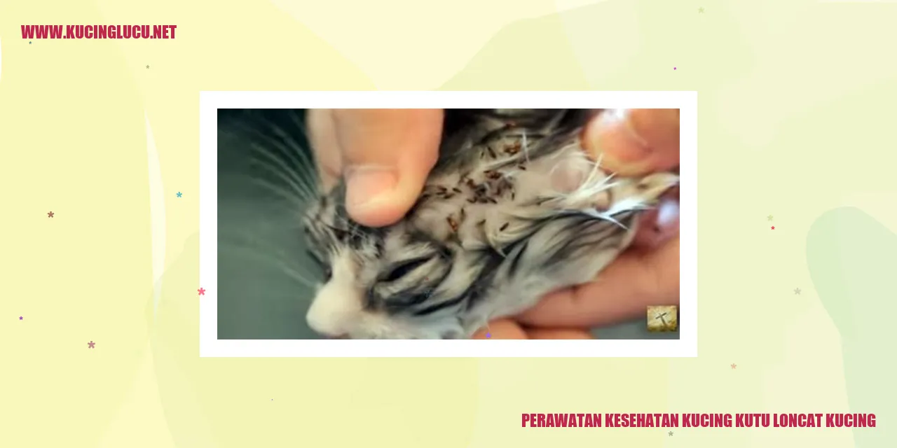 Perawatan Kesehatan Kucing