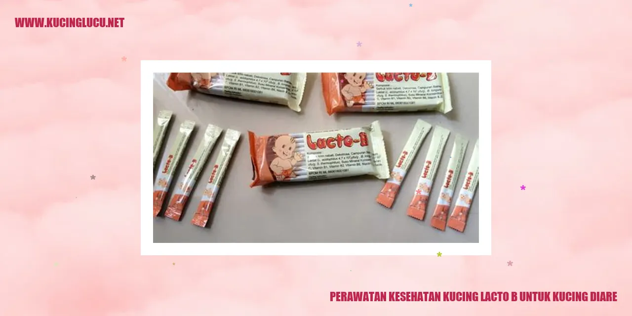 Perawatan Kesehatan Kucing dengan Lacto B untuk Mengatasi Diare