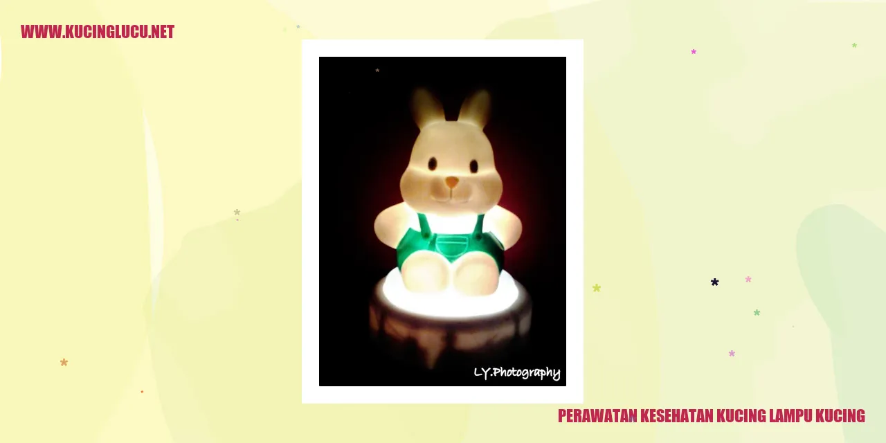 Kucing yang sehat dan bahagia