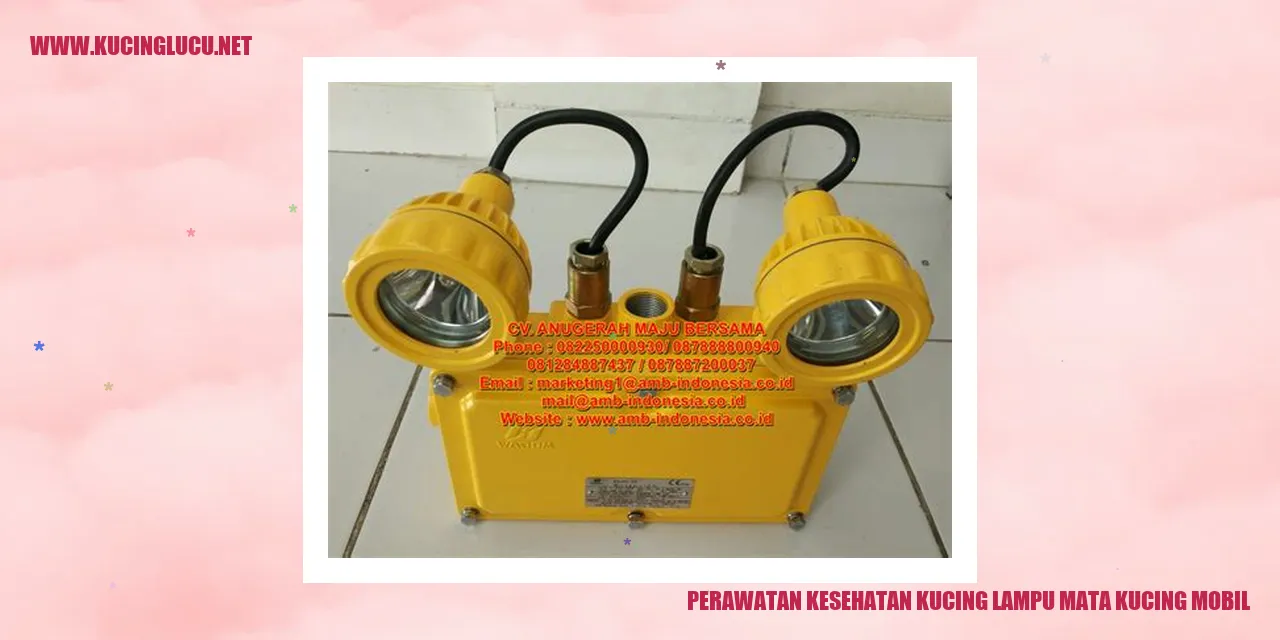 Gambar kucing dengan lampu mata kucing mobil