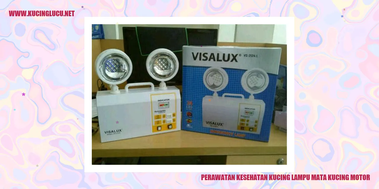 Perawatan Kesehatan Kucing dengan Mata Seperti Lampu Motor