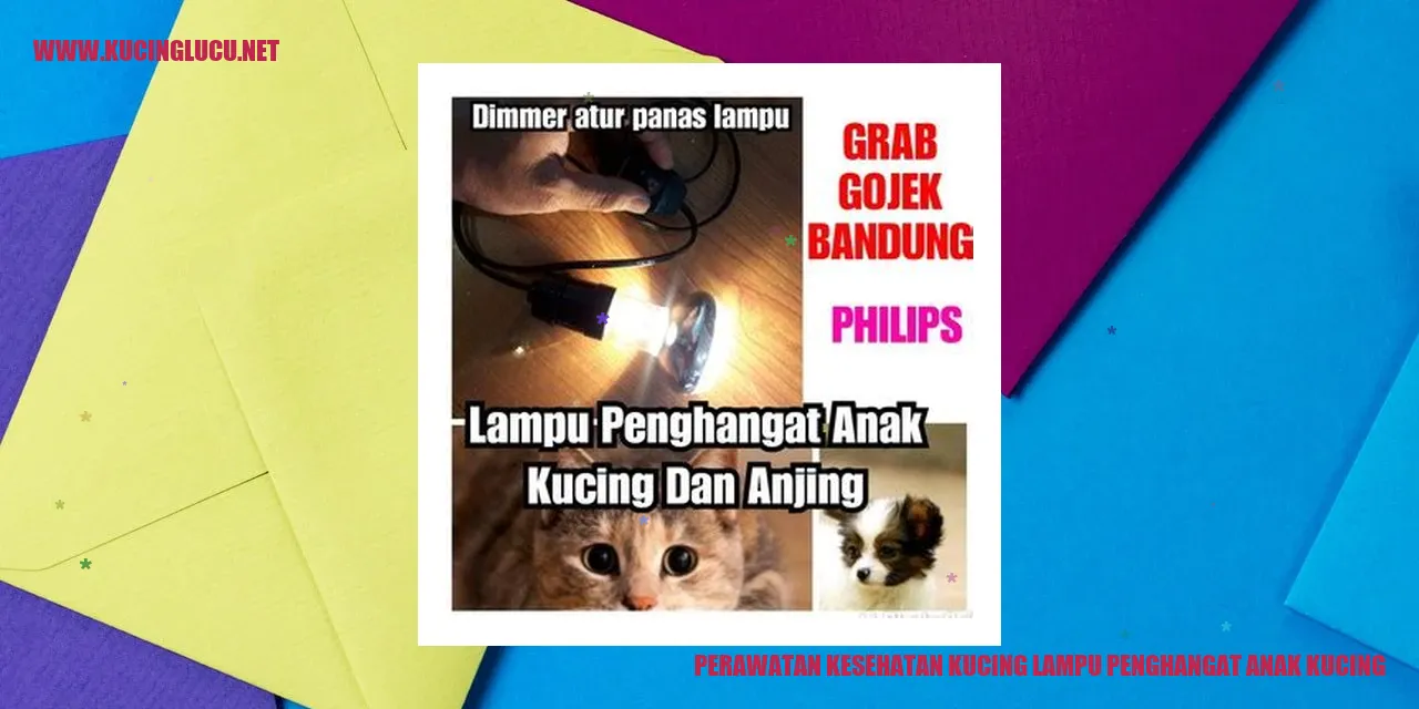 Perawatan Kesehatan Kucing lampu penghangat anak kucing