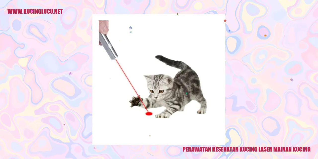 Gambar Kucing