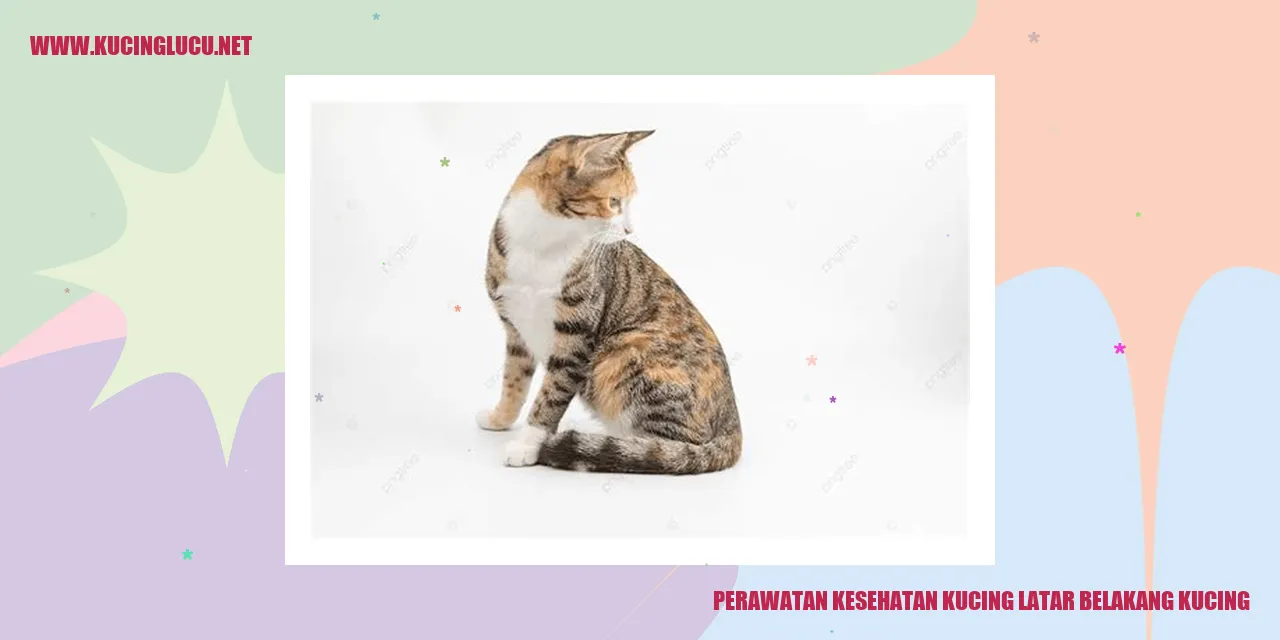 Kucing Sehat