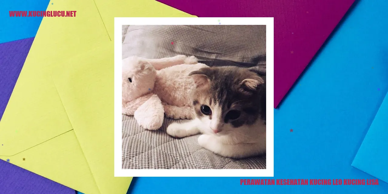 Perawatan Kesehatan Kucing Leo dan Kucing Lisa