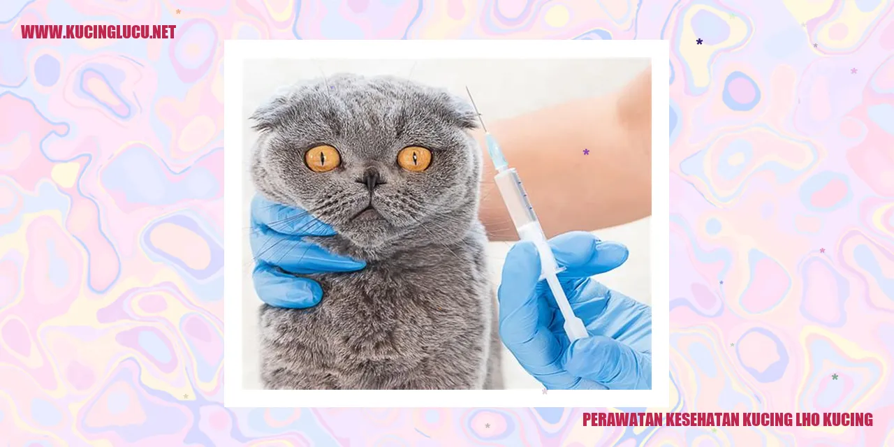 Perawatan Kesehatan Kucing