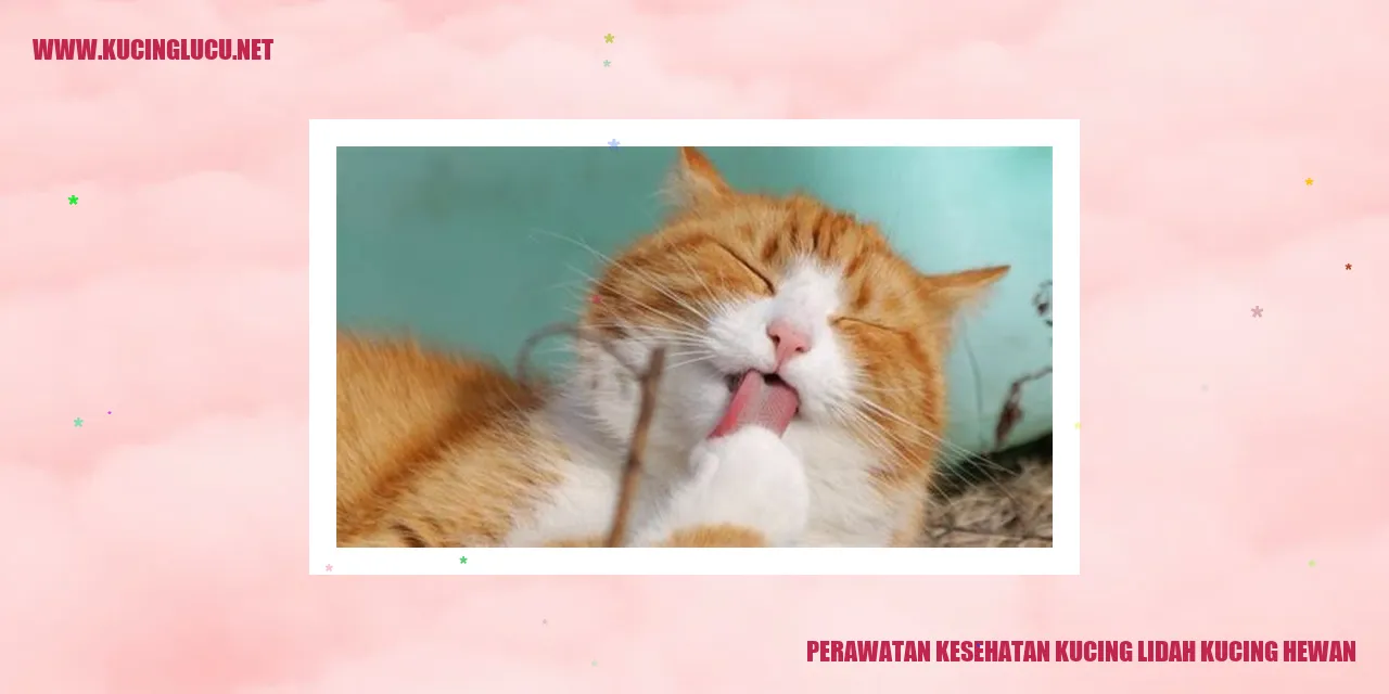 Perawatan Kesehatan Kucing lidah kucing hewan