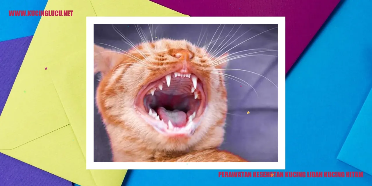 Kucing lidah hitam