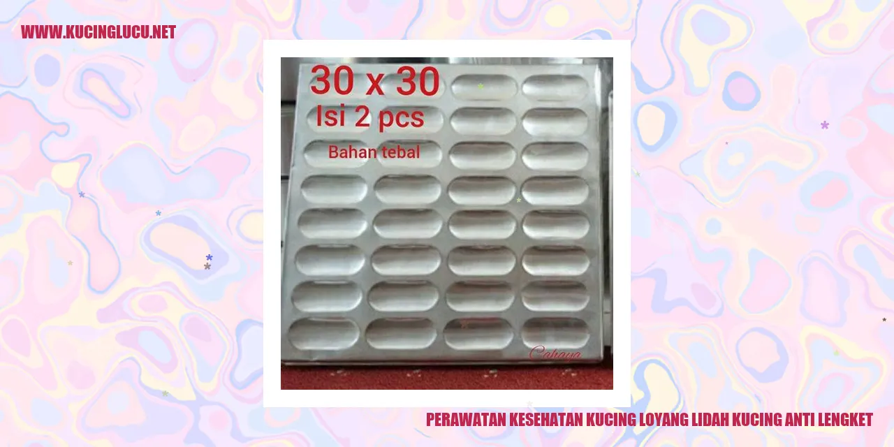 Perawatan Kesehatan Kucing