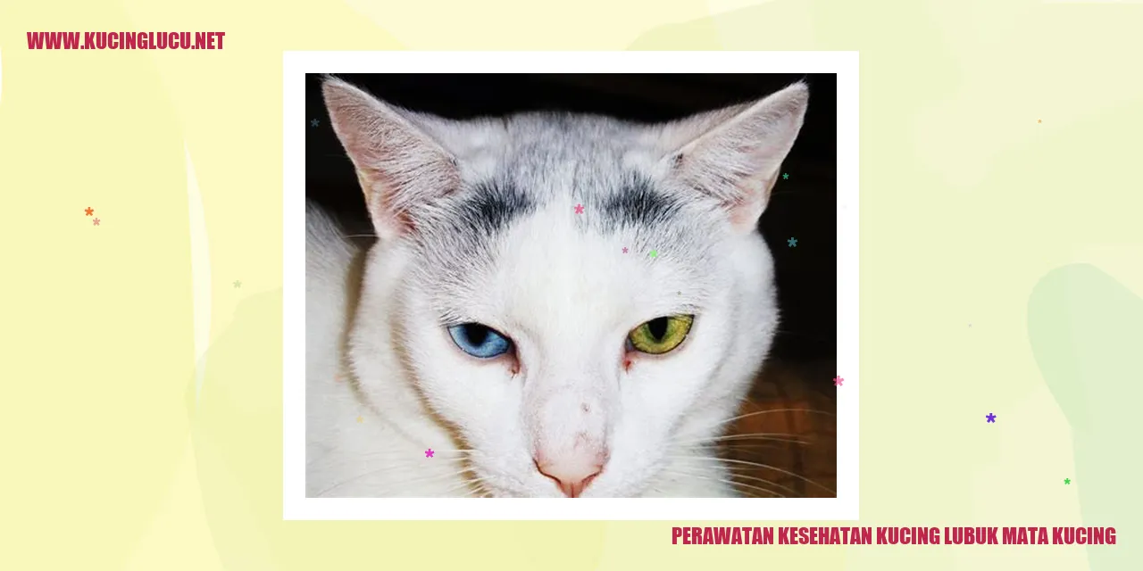 Perawatan Kesehatan Kucing lubuk mata kucing