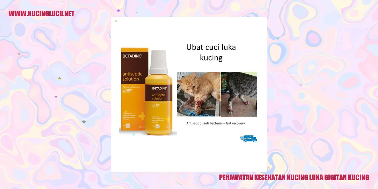 Perawatan Kesehatan Kucing luka gigitan kucing