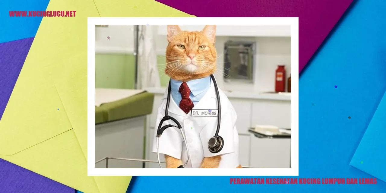 Perawatan Kesehatan Kucing tiba-tiba lumpuh dan lemas