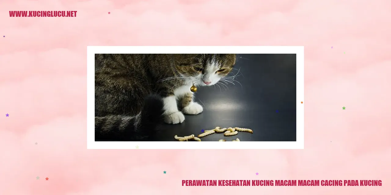 Perawatan Kesehatan Kucing macam-macam cacing pada kucing