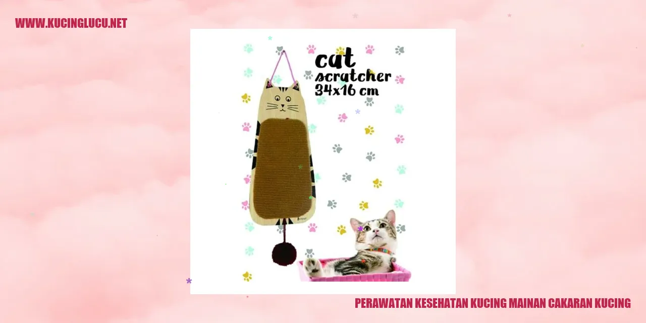 Kucing Mainan Cakaran Kucing