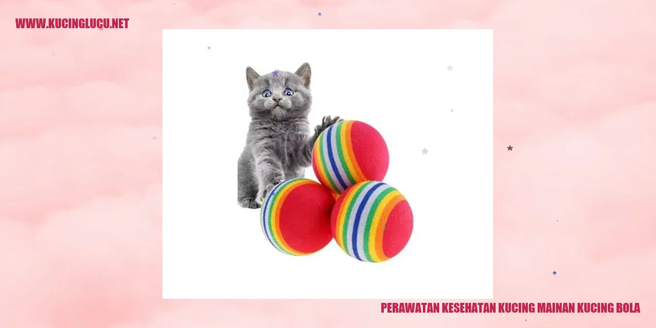 Perawatan Kucing Mainan Kucing Bola