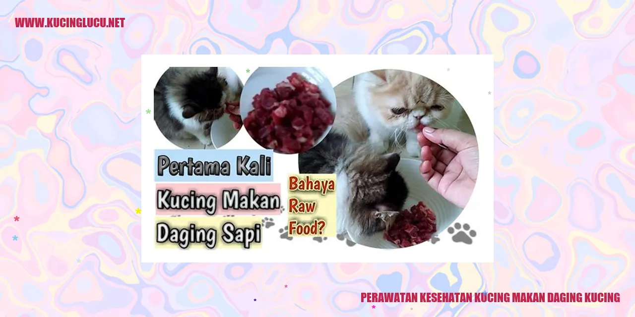 Kucing makan daging kucing