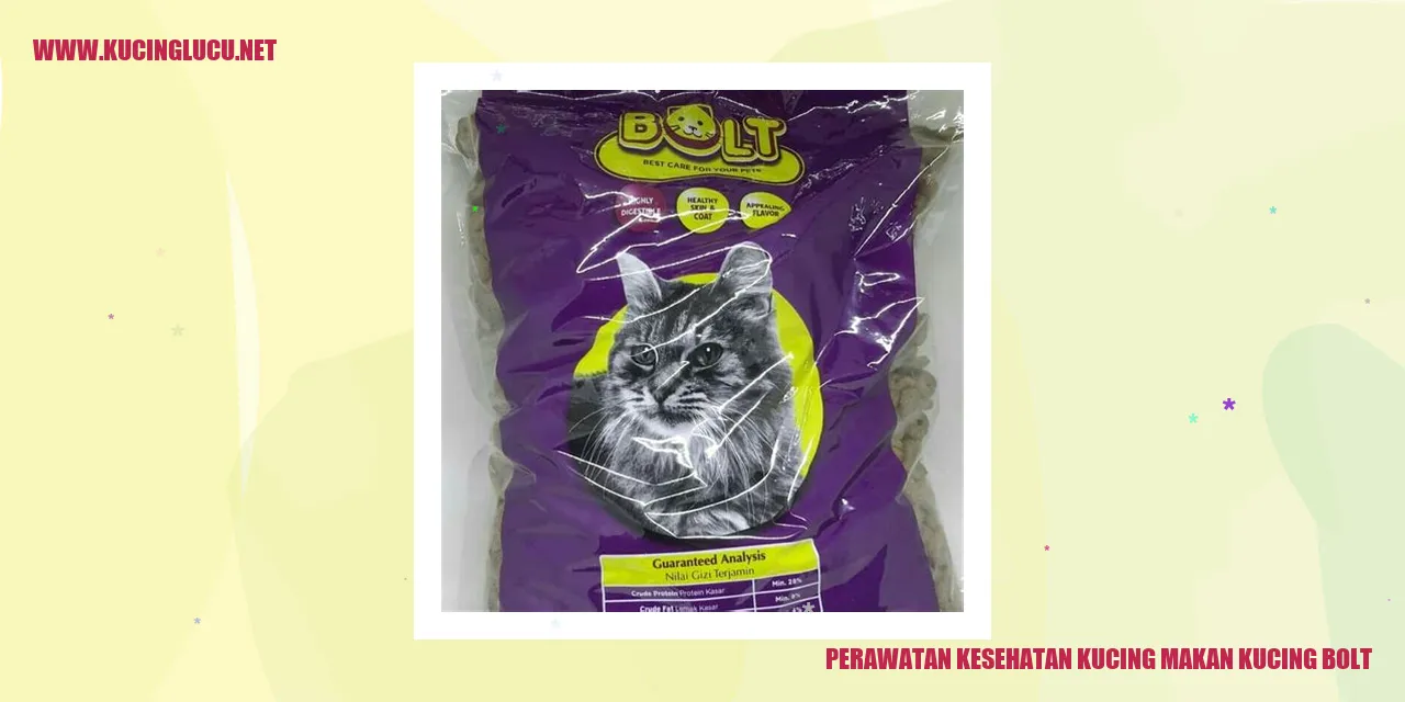 Perawatan Kesehatan Kucing