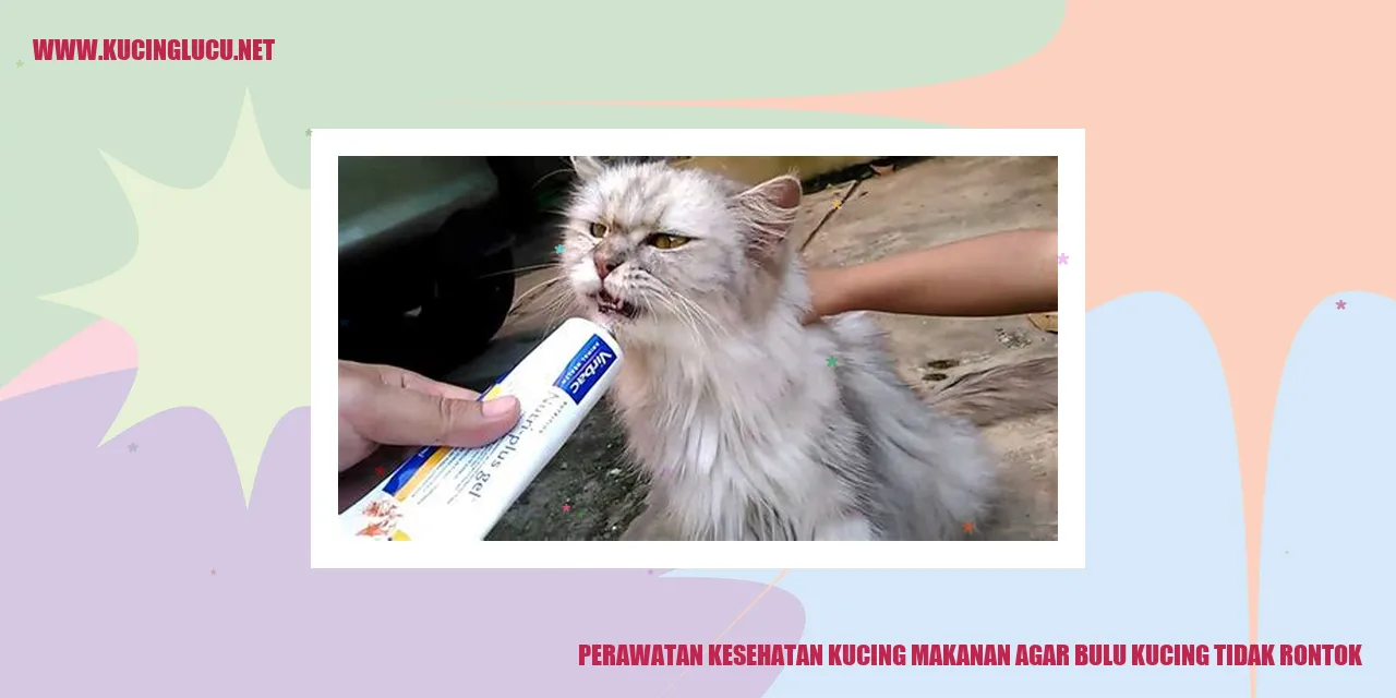 Perawatan Kesehatan Kucing