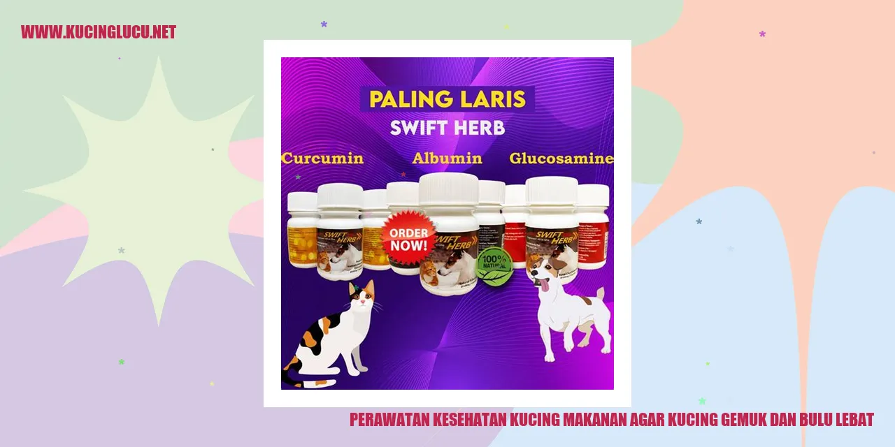 Perawatan Kesehatan Kucing