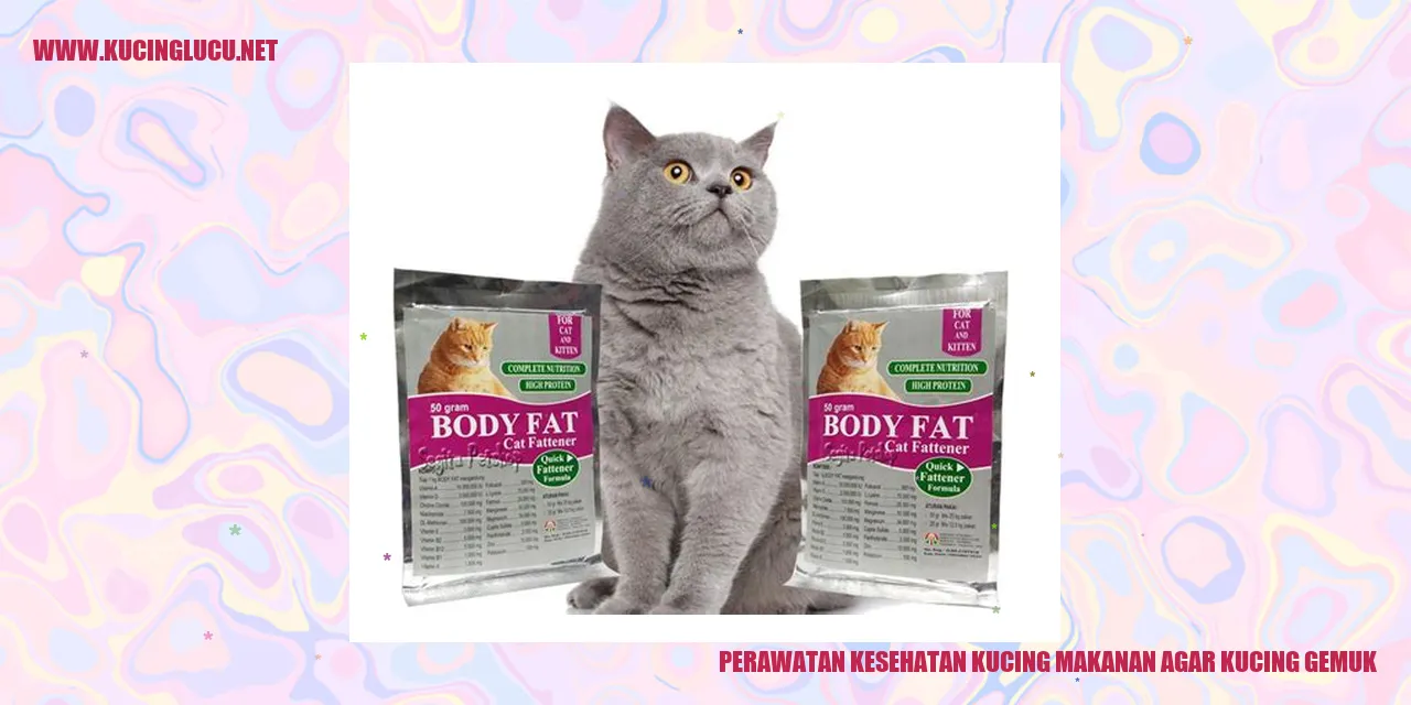Perawatan Kesehatan Kucing agar Kucing Gemuk