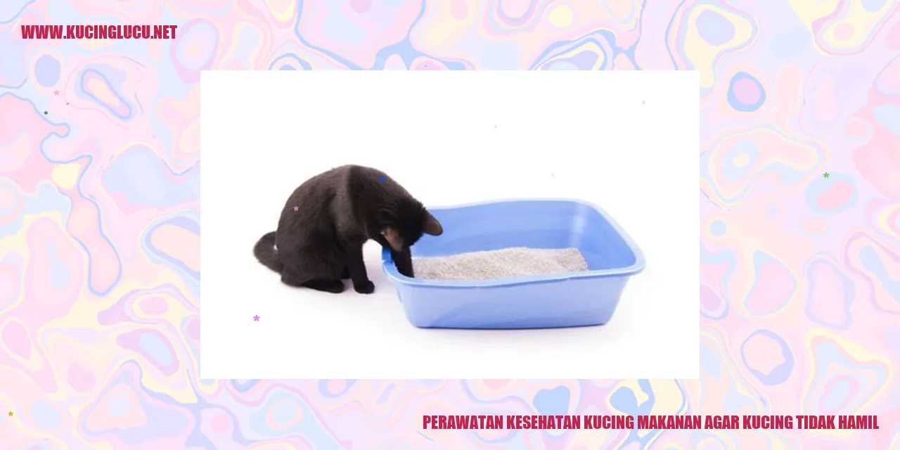 Gambar Kucing