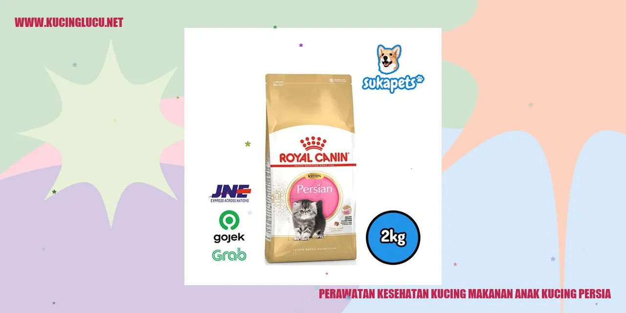 Kucing Persia