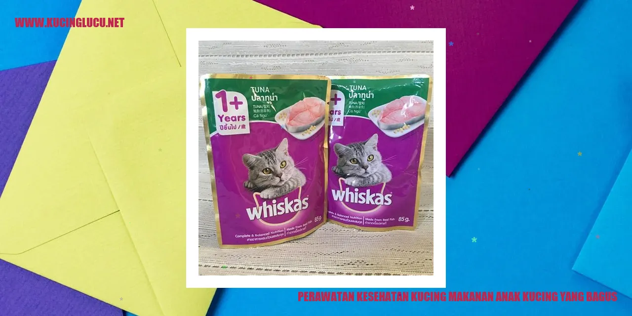 Perawatan Kesehatan Kucing makanan anak kucing yang bagus