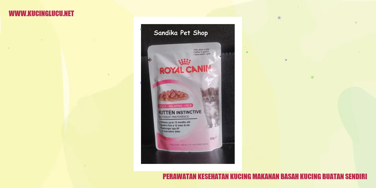 Perawatan Kesehatan Kucing makanan basah kucing buatan sendiri