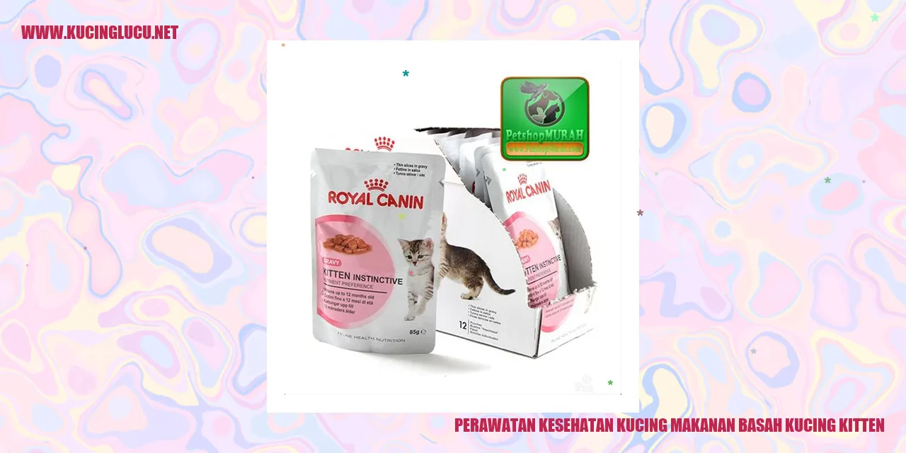 Perawatan Kesehatan Kucing