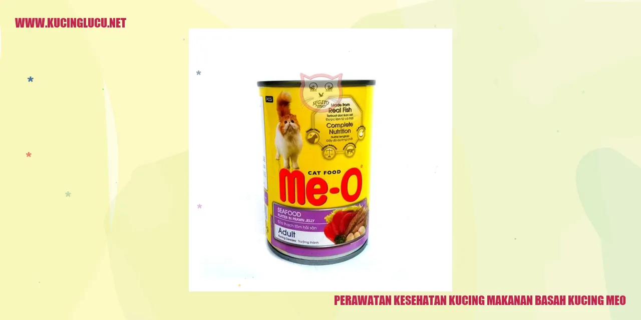Perawatan Kesehatan Kucing makanan basah kucing meo