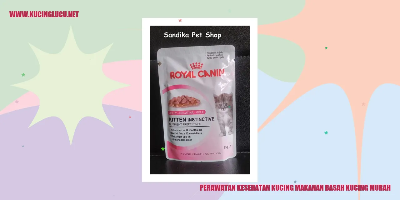 Perawatan Kesehatan Kucing: Makanan Basah Kucing Murah