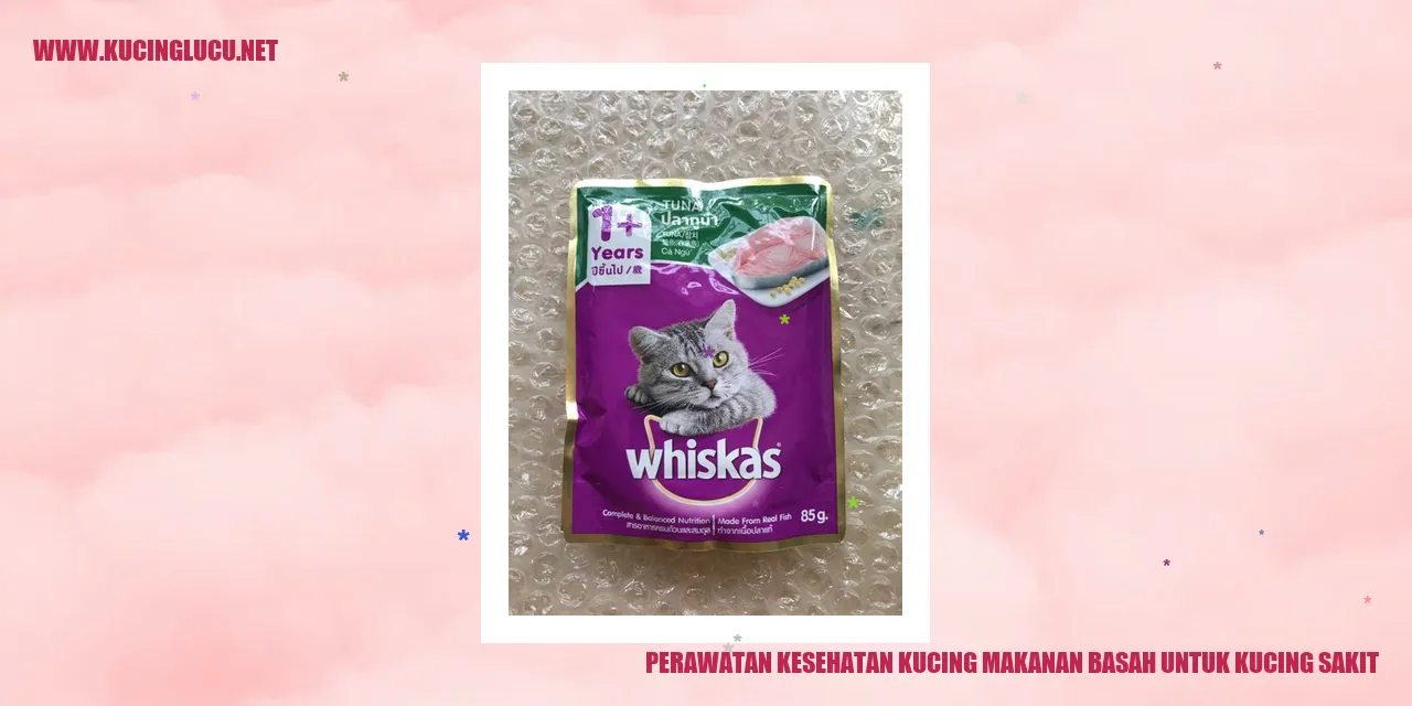 Makanan Basah untuk Kucing Sakit